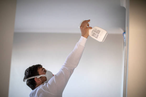 Best Basement Mold Remediation in Palmyra, WI